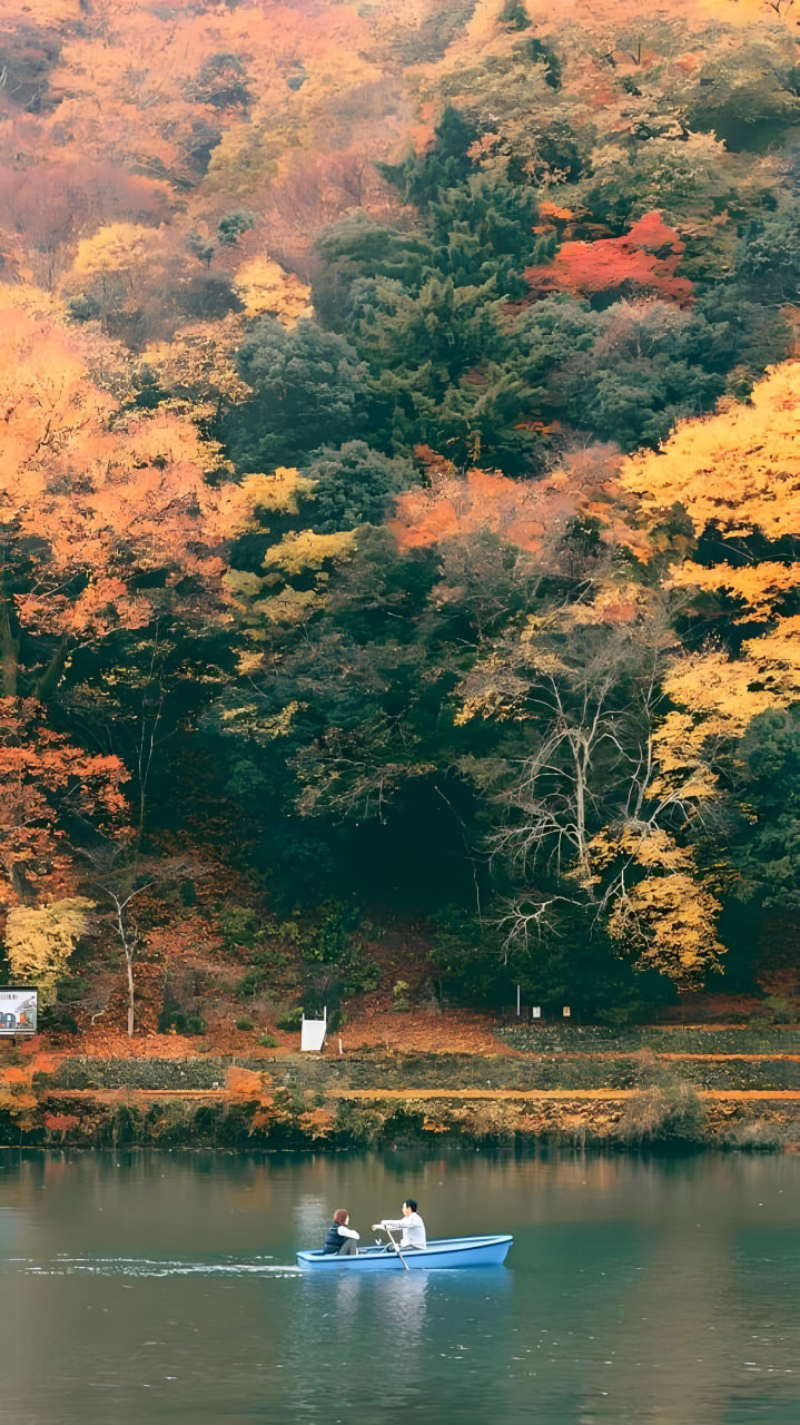 最新动漫1